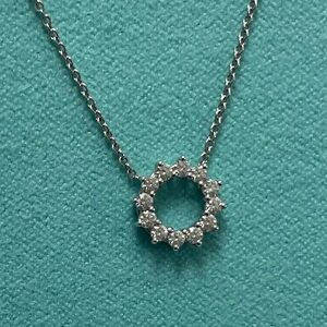 Tiffany & Co. Platinum Open Circle Necklace-Mini